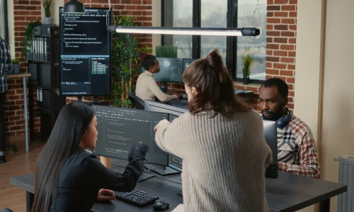 Software house